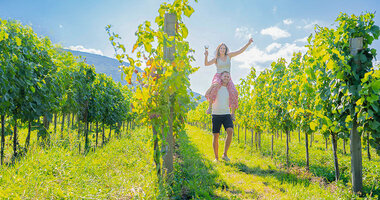 ALZA Vin d'Alsace